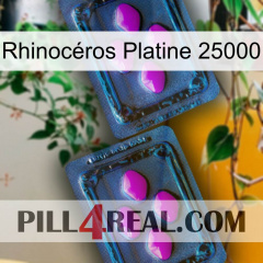 Rhinocéros Platine 25000 03